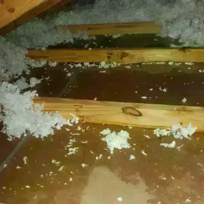 Attic Water Damage in Weslaco, TX