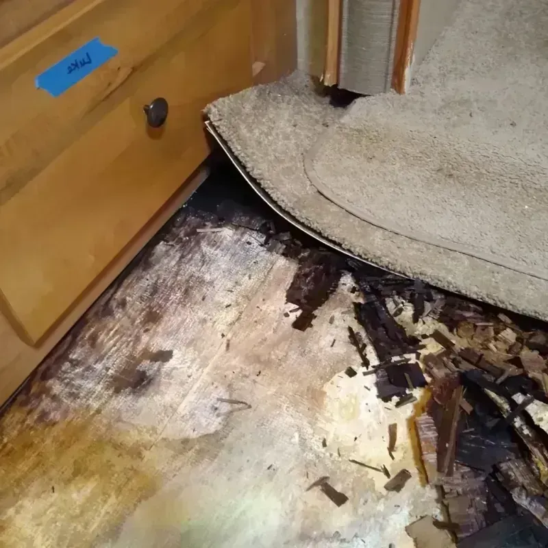 Best Wood Floor Water Damage Service in Weslaco, TX